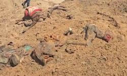 الشفاء ہسپتال میں زندہ دفن کیے گئے30 فلسطینیوں میں سے 12 کی شناکت