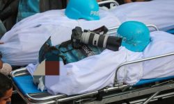 غزہ میں ایک اور صحافی شہید، شہید صحافیوں کی تعداد 141 ہوگئی