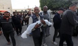 غزہ میں قتل عام کے 200 دن مکمل، شہداء کی تعداد 34,183 ہو گئی