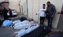 غزہ میں اسرائیلی قتل عام میں مزید 79 فلسطینی شہید ،86 زخمی