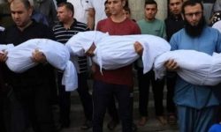 غزہ کے بن کھلے غنچوں کے نام