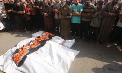 غزہ میں نسل کشی جاری، مزید 40 فلسطینی شہید، 224 زخمی