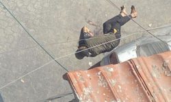 مغربی غزہ کے طیران چوک میں اسرائیلی بمباری میں 30 فلسطینی شہید