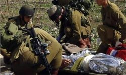 صیہونیوں کی شمالی محاذ پر جنگ کی آرزو