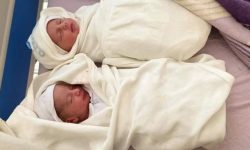 غزہ میں تاحال 115 شیر خوار بچوں کا قتل