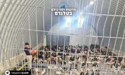 فلسطینی قیدیوں کے ساتھ جنسی تشدد کی تحقیقات کرائی جائیں: اقوام متحدہ