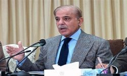 اسرائیل نے سفاکانہ کارروائیوں کی تمام حدیں پار کر دیں: پاکستانی وزیر اعظم