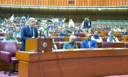 اسماعیل ہنیہ کے قتل پر پاکستان کی قومی اسمبلی میں مذمتی قرارداد منظور