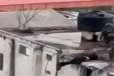 شہداء کی لاشوں کی بے حرمتی سے عوامی غیض وغصب میں اضافہ ہو گا: حماس