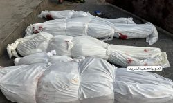 غزہ میں نسل کشی کی بھیانک جنگ میں شہدا کی تعداد 41 ہزار سے تجاوز کرگئی