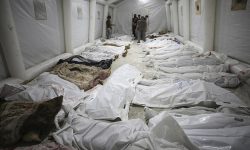 غزہ میں نسل کشی جاری، جمعہ کی صبح سے دہشتگرد اسرائیل کی بمباری، درجنوں شہید اور زخمی