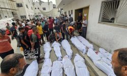 غزہ جنگ کے آغاز سے اب تک 7,160 فلسطینی خاندانوں کا قتل عام