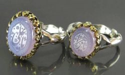 حضرت فاطمہ زہرا ( سلام اللہ علیہا) کے نقوش حیات اور مشترکہ زندگی کا چین و سکون