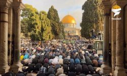 مسجد الاقصیٰ میں ہزاروں فلسطینیوں نے کی نماز عید ادا