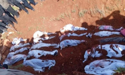 شام کے علویوں پر موت کا سایہ; قتل و غارت ابھی بھی جاری