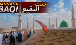 انہدام جنت البقیع سے یمن کی تاراجی تک شیطان کی ڈگڈی پر تکفیریت کا ننگا ناچ