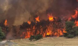 اسرائیل میں خوفناک آگ، درجنوں عمارتیں جل کر راکھ، فلسطینی اتھارٹی کی مدد کی پیش کش