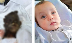 غزہ میں نسل کشی کا جنون/ ایک ہی دن میں 99 افراد کی شہادت